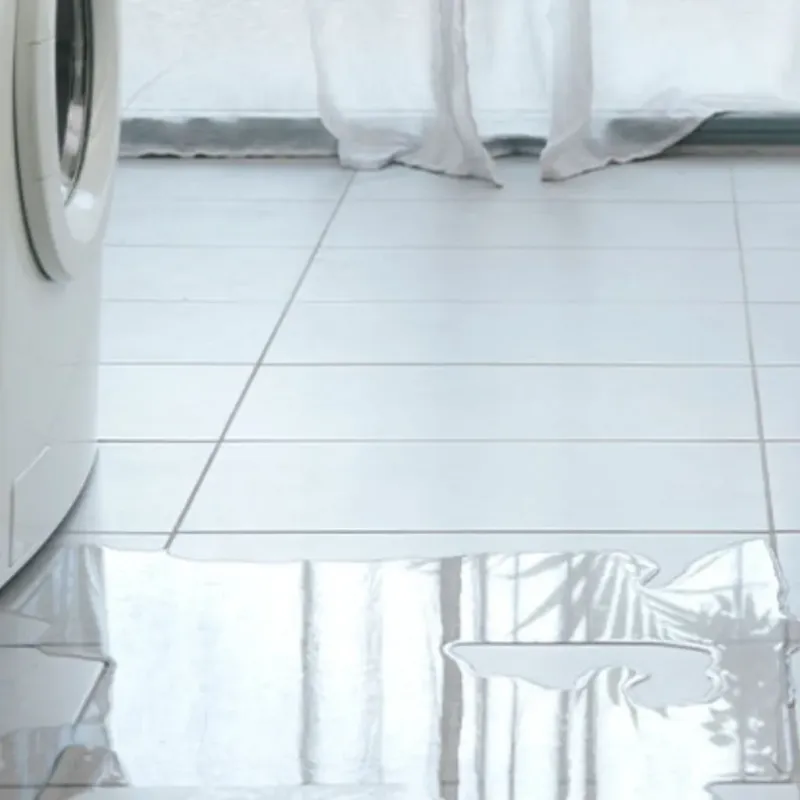 Appliance Leak Cleanup in University Place, WA
