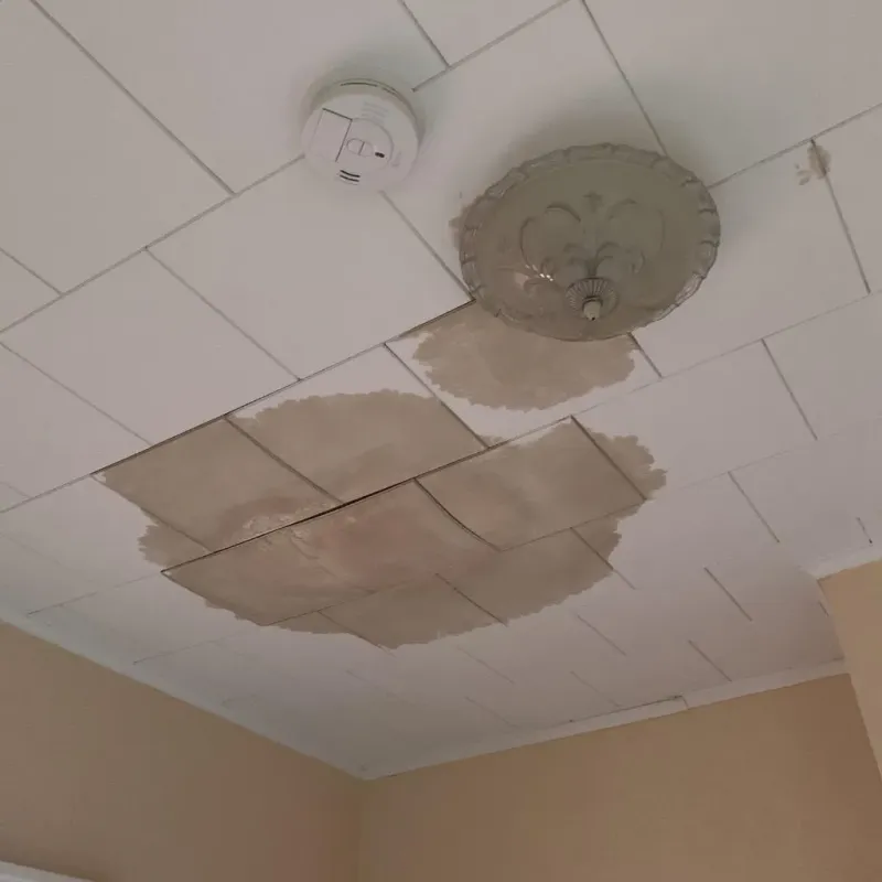 Ceiling Water Damage Repair in University Place, WA