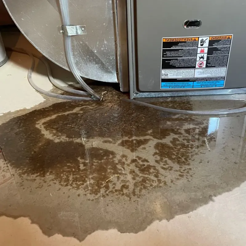 Pipe Burst and Leak Restoration in University Place, WA